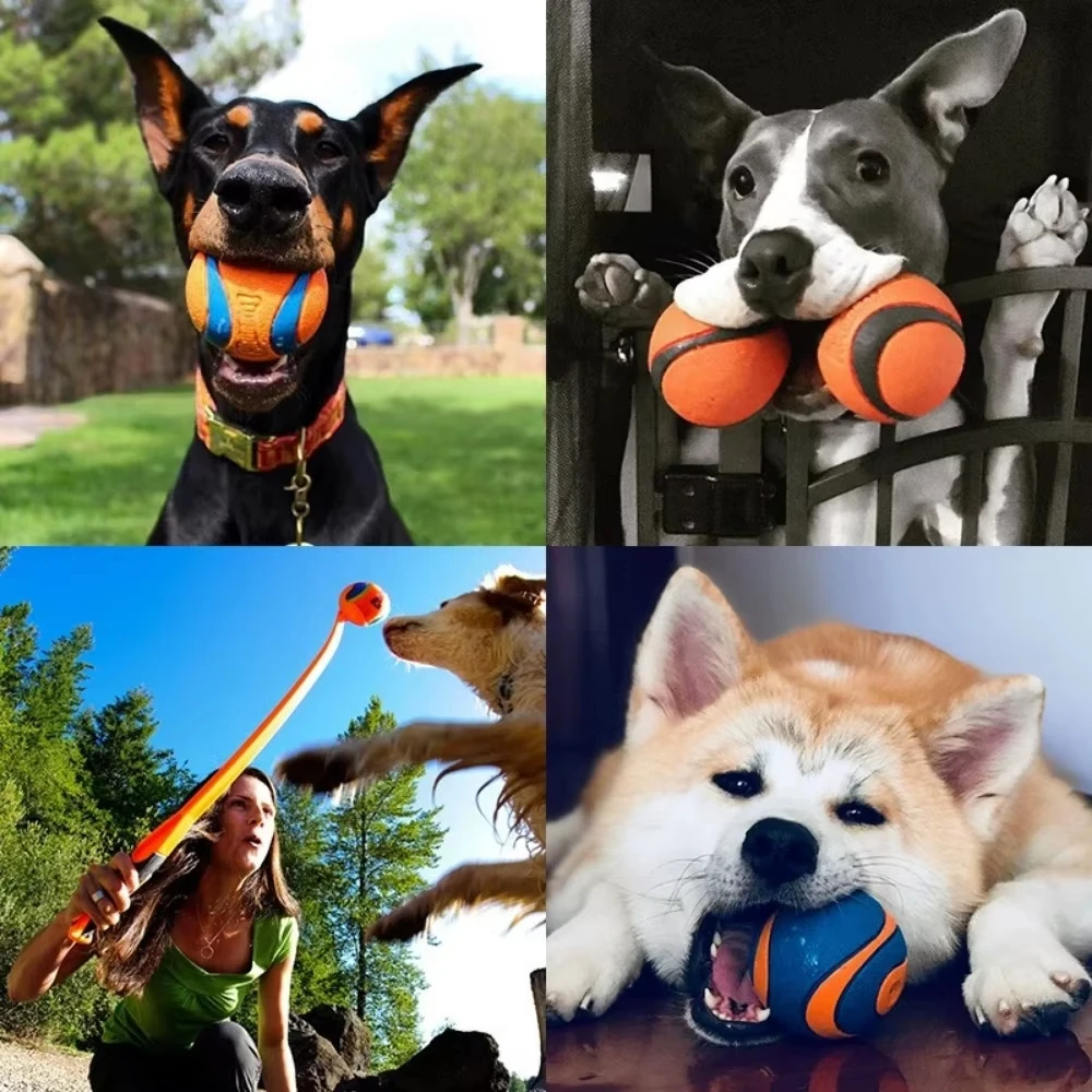 Bola de Borracha Sólida para Cães Elástica e Saltitante - Imagem 6