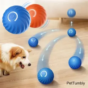 bola brinquedo interativo para cães e gatos