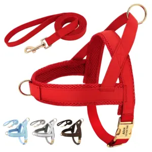 coleira peitoral personalizada para cães