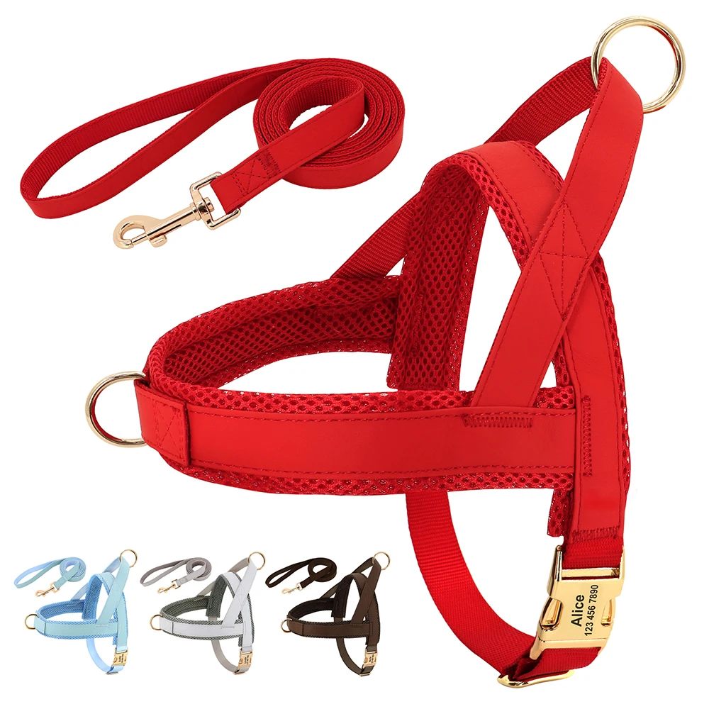 coleira peitoral personalizada para cães