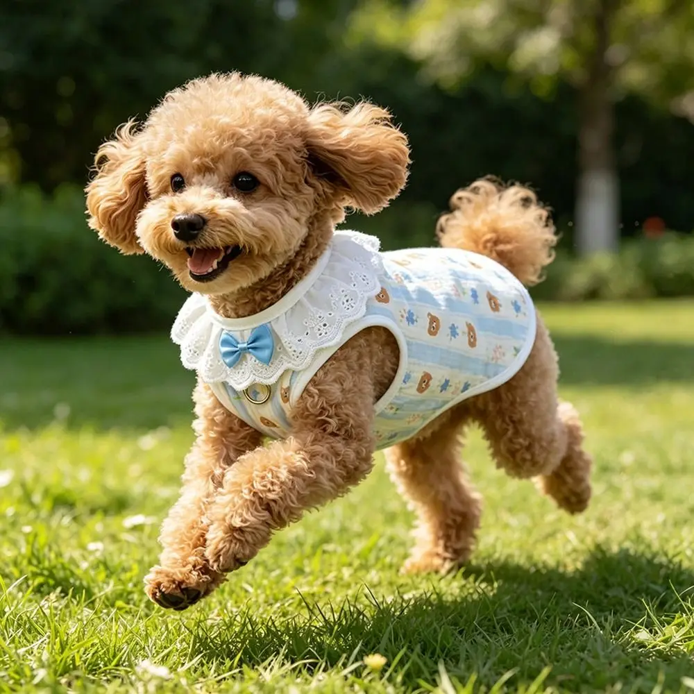 Colete de Renda para Cães Pequenos e Médios de Poliéster Respirável - Imagem 3