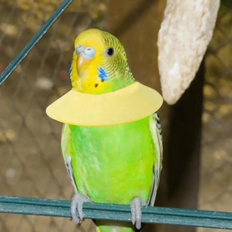 Coleira Protetora para Pássaros de Veludo Macio e Ajustável - Imagem 5