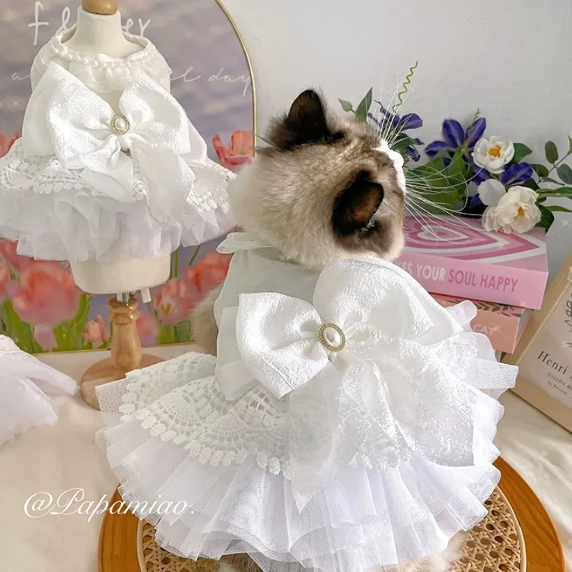 vestido princesa para cães pequenos
