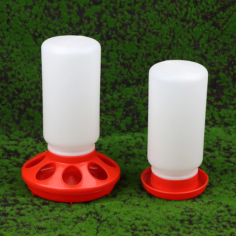 alimentador e bebedouro automático para aves