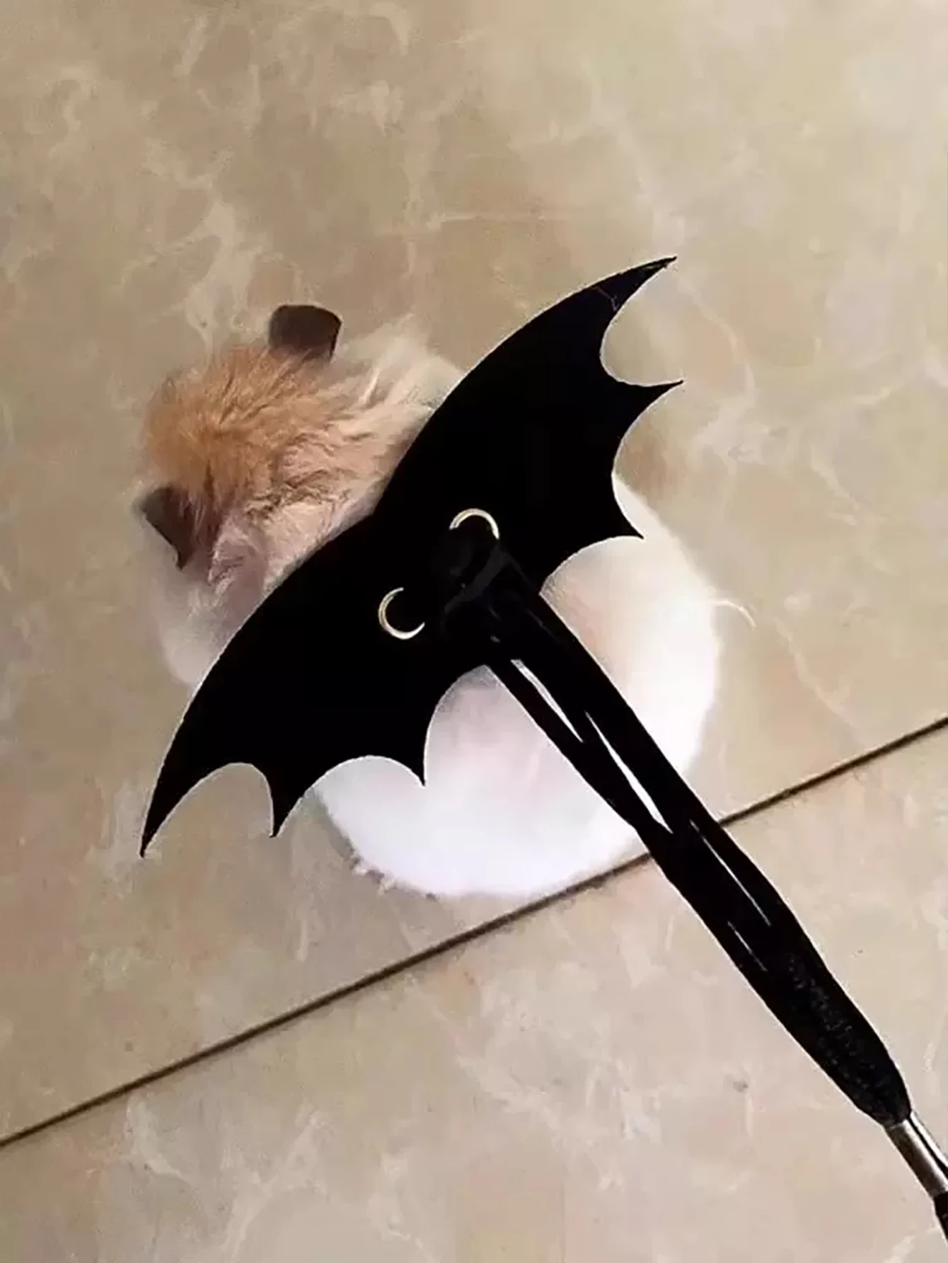 Colete para Hamster e Rato com Alças Ajustáveis para Passeio - Imagem 5