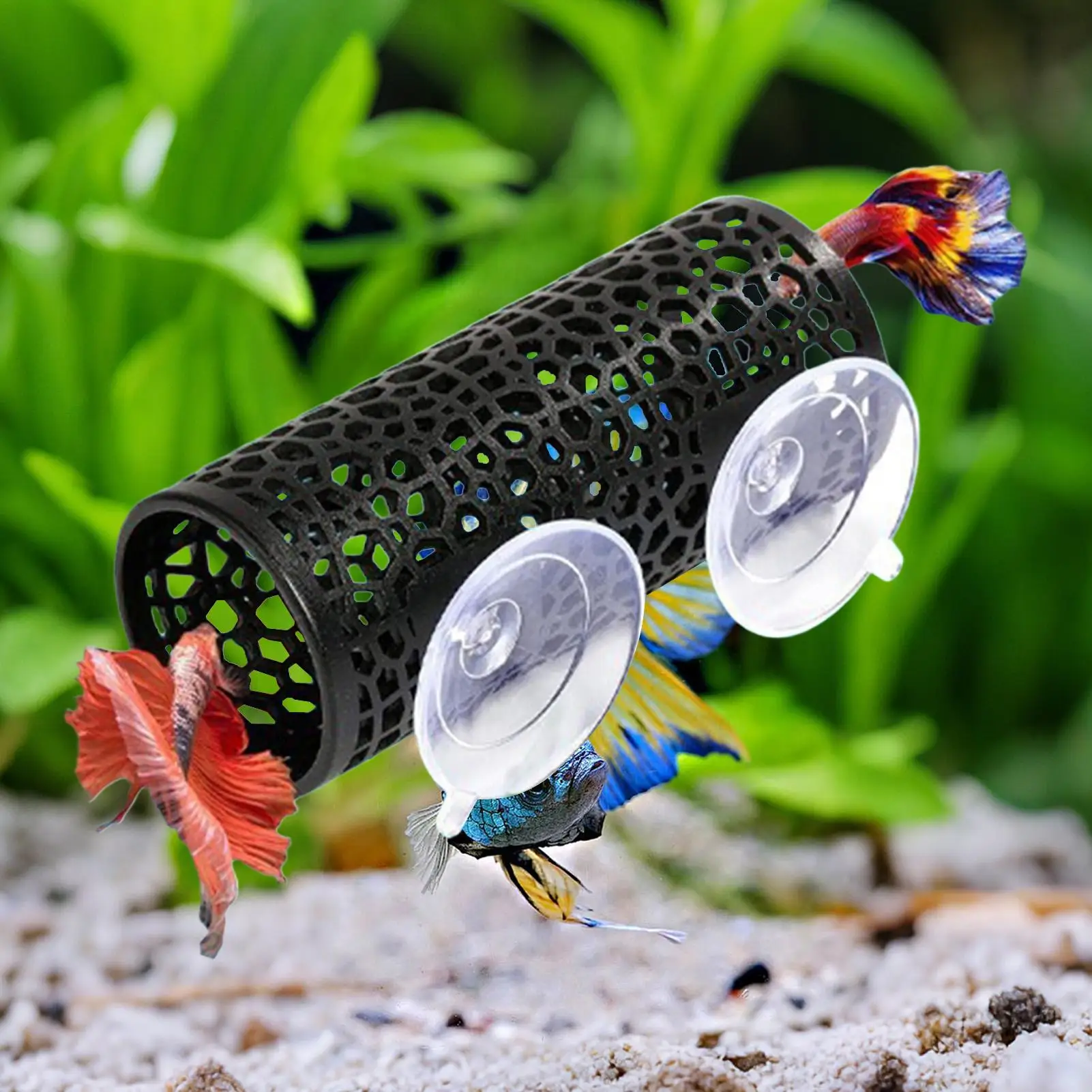 Túnel para Aquário Betta com Ventosas para Fixação - Imagem 5