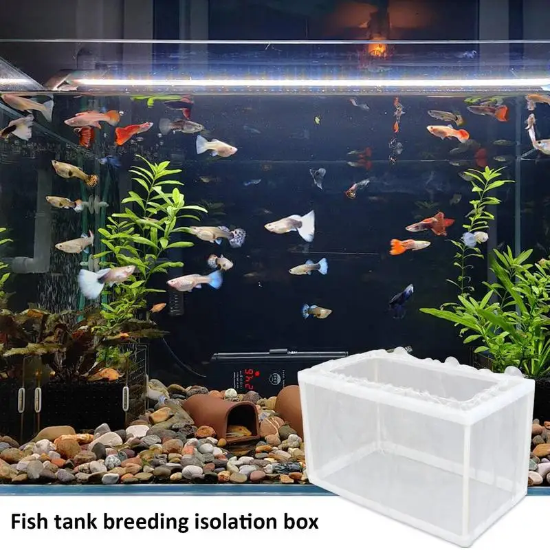 Caixa de Criação de Peixes com Ventosas e Rede de Malha Fina - Imagem 3