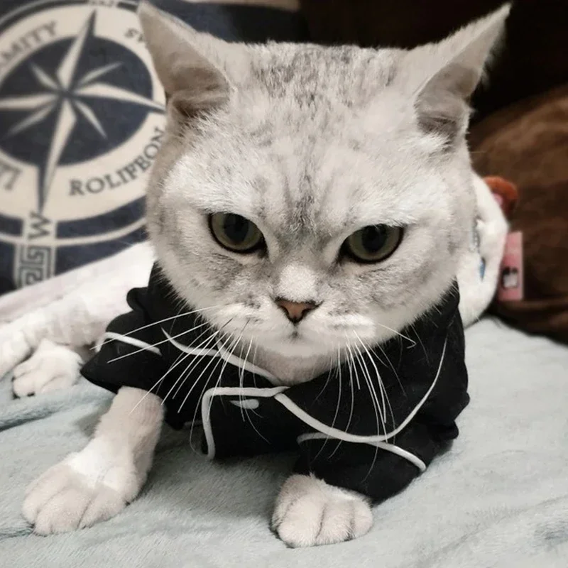 Fantasia de Natal para Gatos com Capuz Pet - Imagem 4