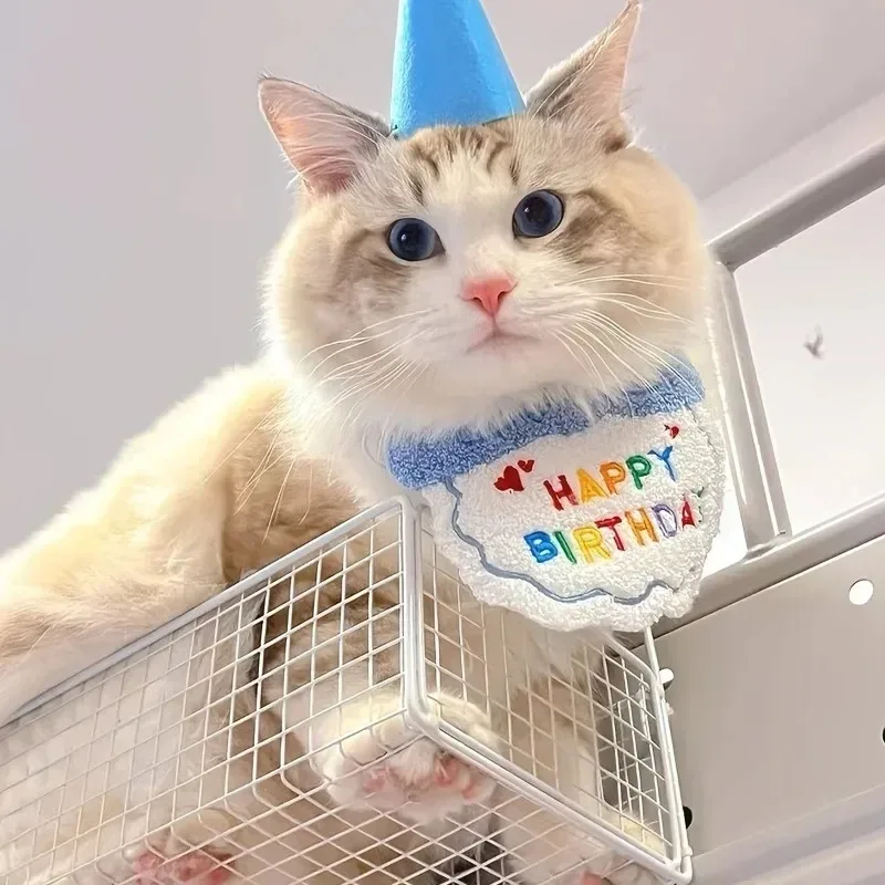 chapéu e cachecol de aniversário para cães