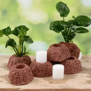 anel de cerâmica para plantas de aquário