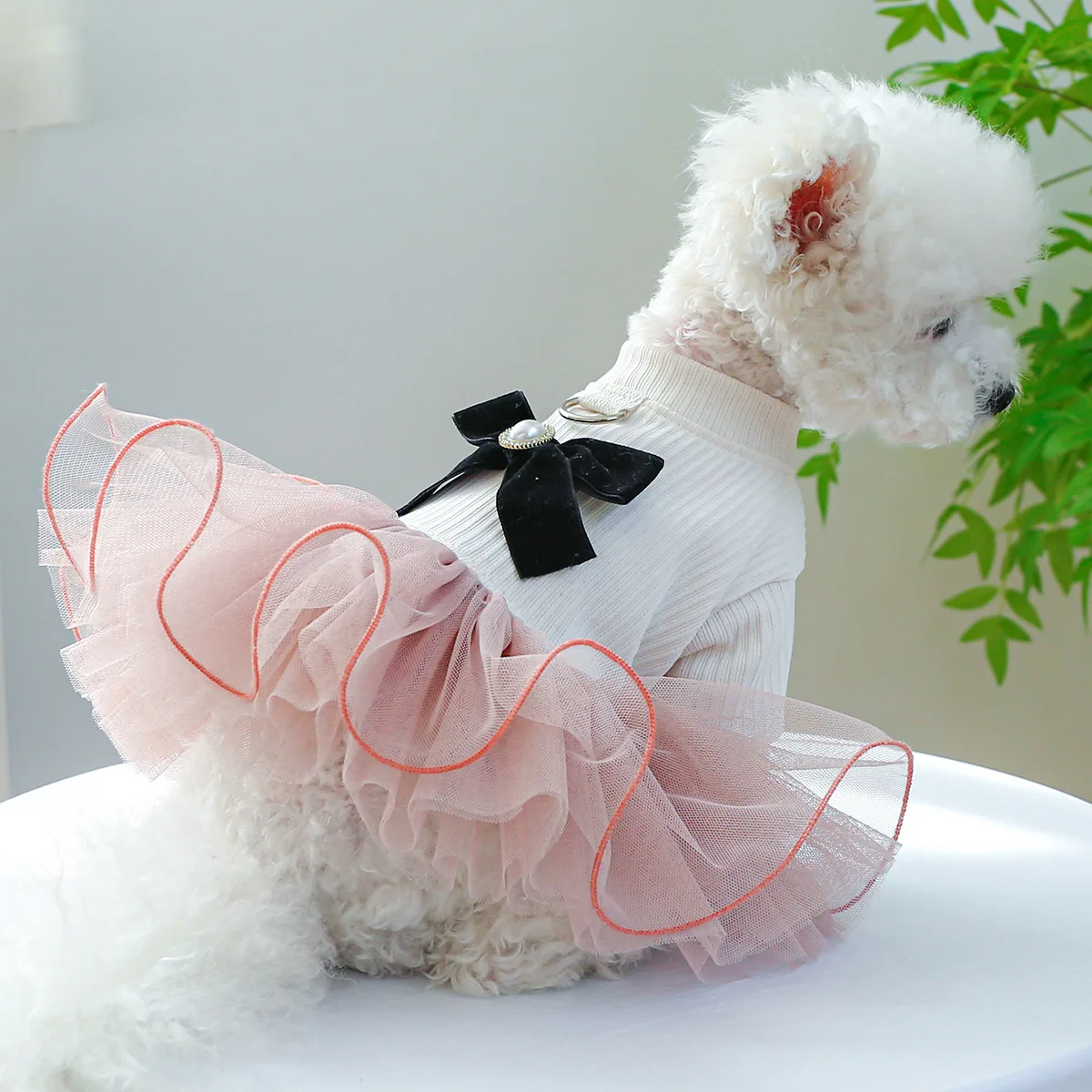 Vestido Tutu para Cães e Gatos de Renda Estampada - Imagem 3