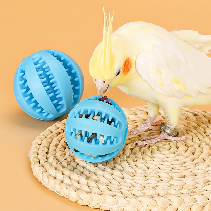 Brinquedo Alimentador para Pássaros Conures e Periquitos - Imagem 3