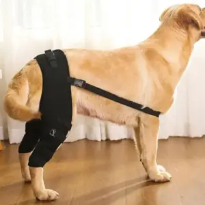 suporte de perna para cães