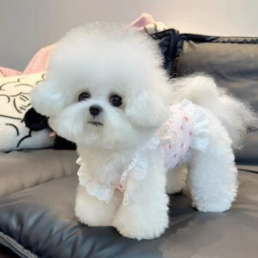 Colete de Moda Floral para Cães e Gatos com Laço - Image 4