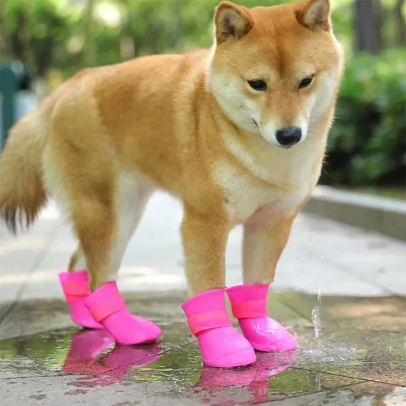 Bota de Borracha para Cães Antiderrapante e Impermeável para Passeio - Imagem 3