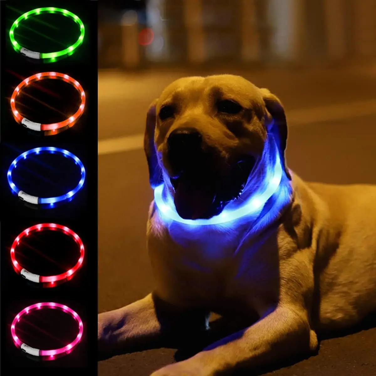 Coleira LED para Cães Recarregável USB com Faixa Iluminada - Imagem 2