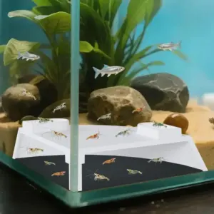 caverna de aquário para peixes