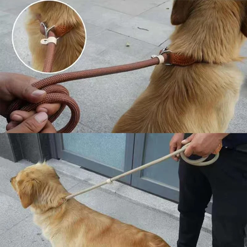 Guia Deslizante para Cães Grandes de Nylon Extra Longa e Grossa - Imagem 5