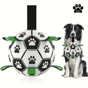 bola de futebol interativa para cães