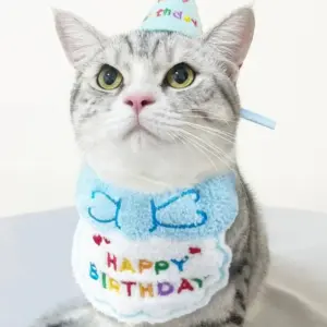 bandana de aniversário para cães e gatos