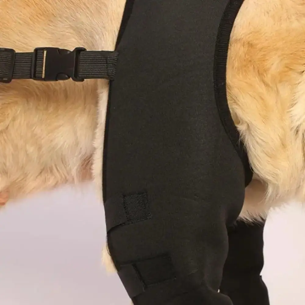 Suporte de Perna para Cães com Alça Ajustável - Imagem 2