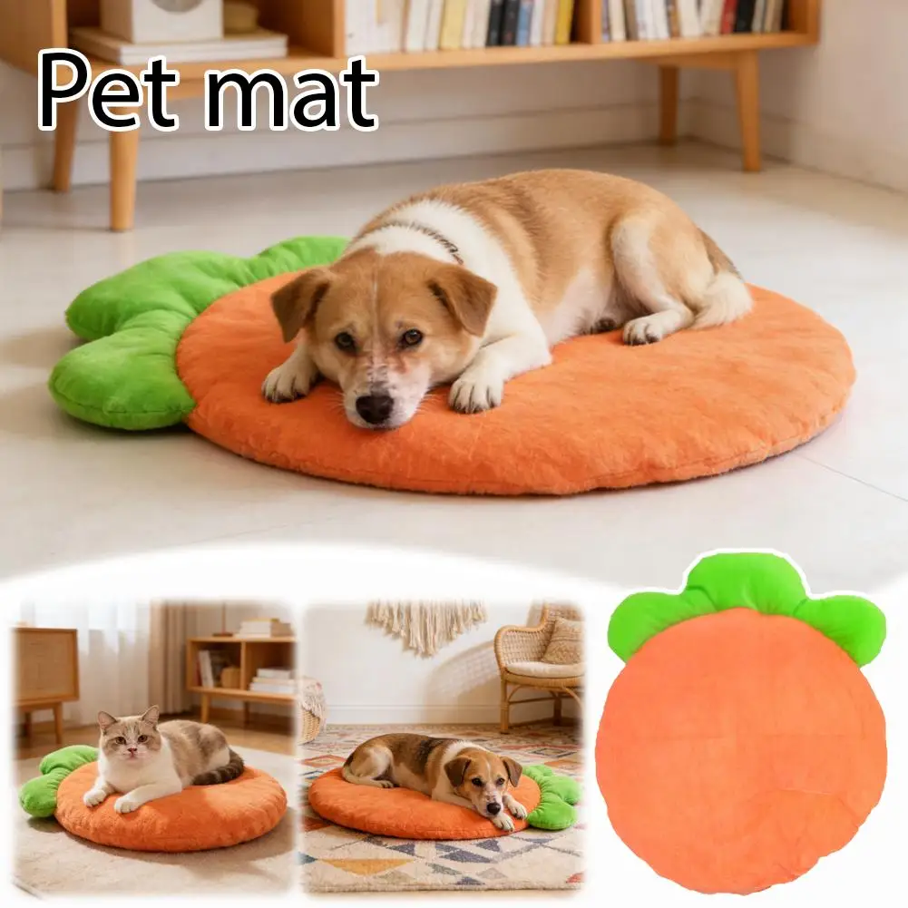 tapete lavável para gatos e cães pequenos
