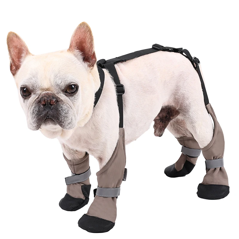 botas impermeáveis antiderrapantes para cães