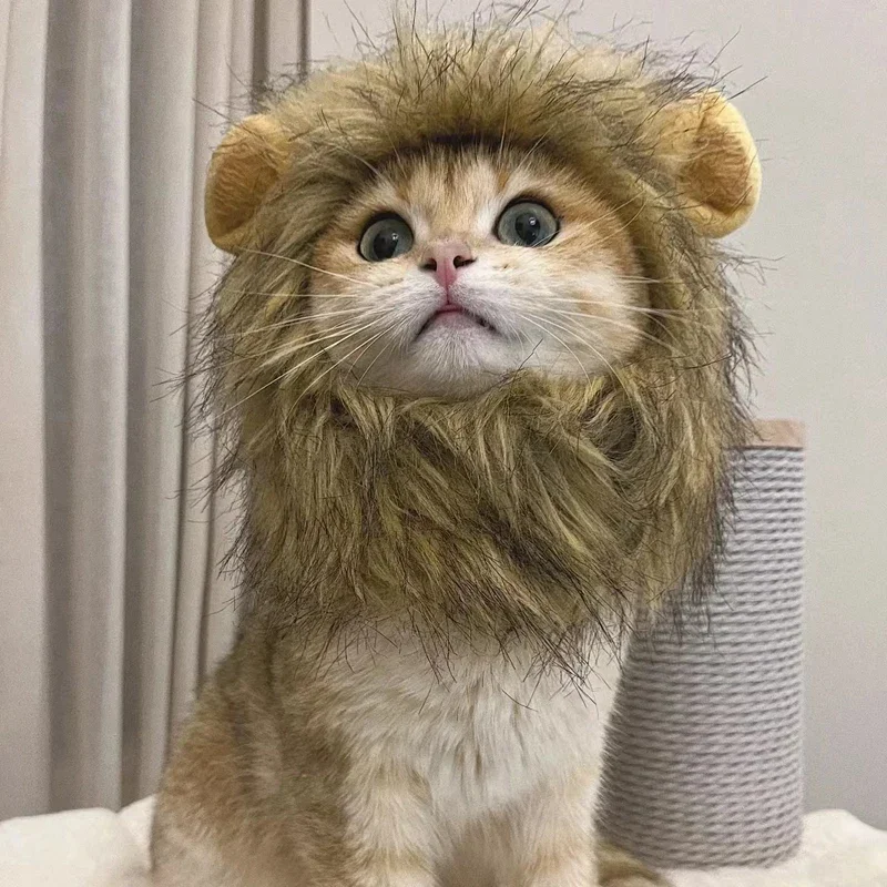 Peruca de Leão para Gatos e Cães Pequenos de Feltro com Orelhas - Imagem 2