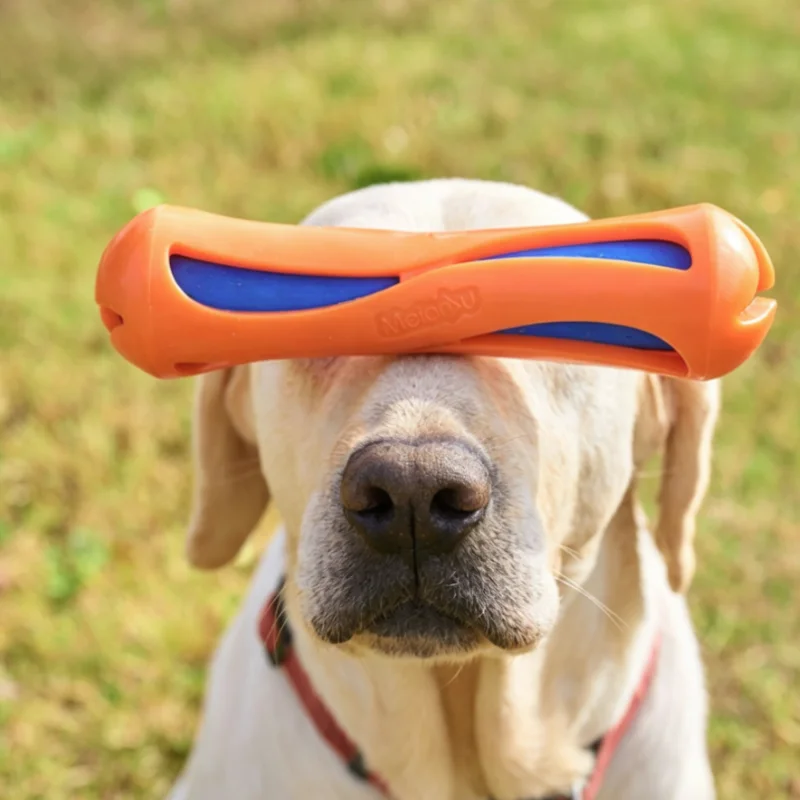 Brinquedo Flutuante Dog Water-Lok Stick para Cães de Borracha Resistente - Imagem 2