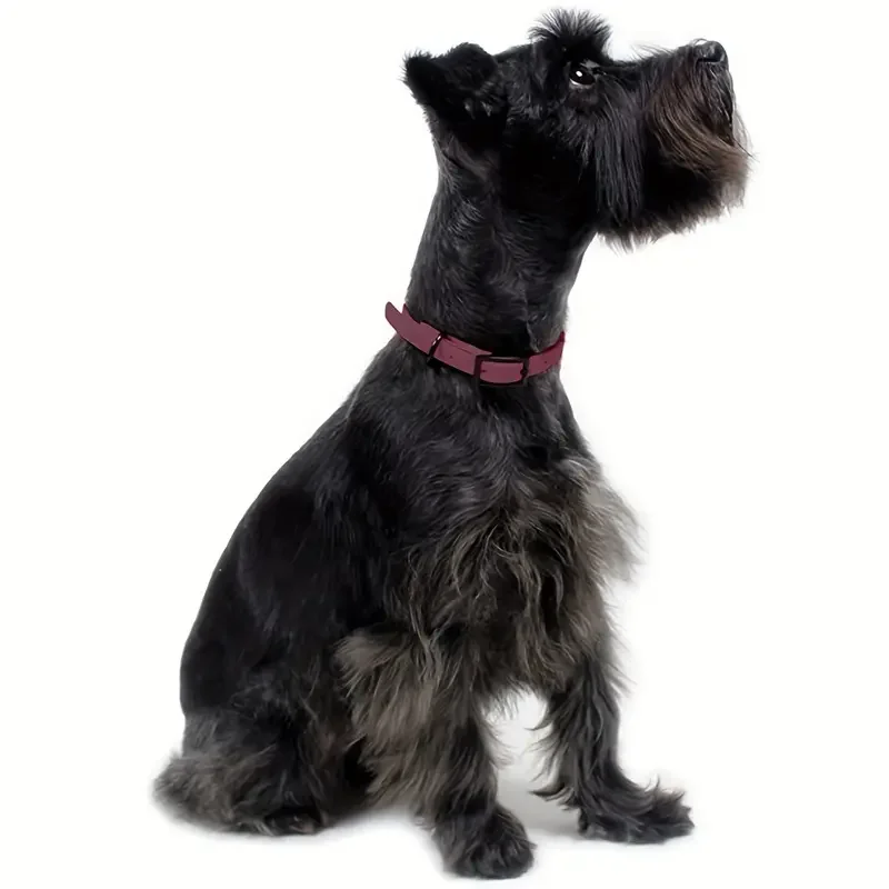 Coleira para Cães de PVC Ajustável e Fácil de Limpar - Imagem 2