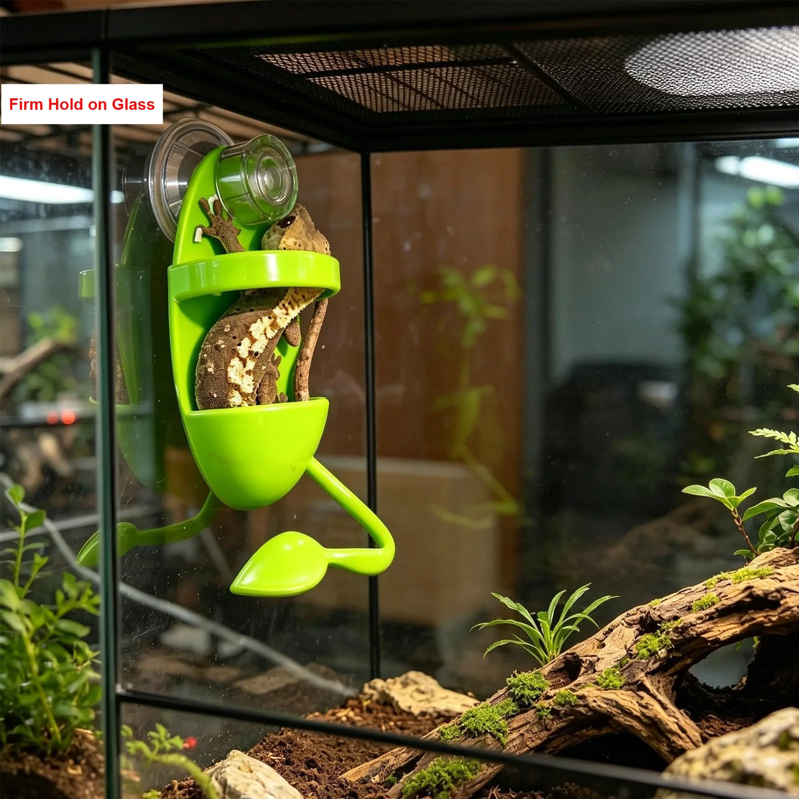Prato Alimentador para Répteis com Ventosa Anti-Fuga para Terrário - Imagem 3
