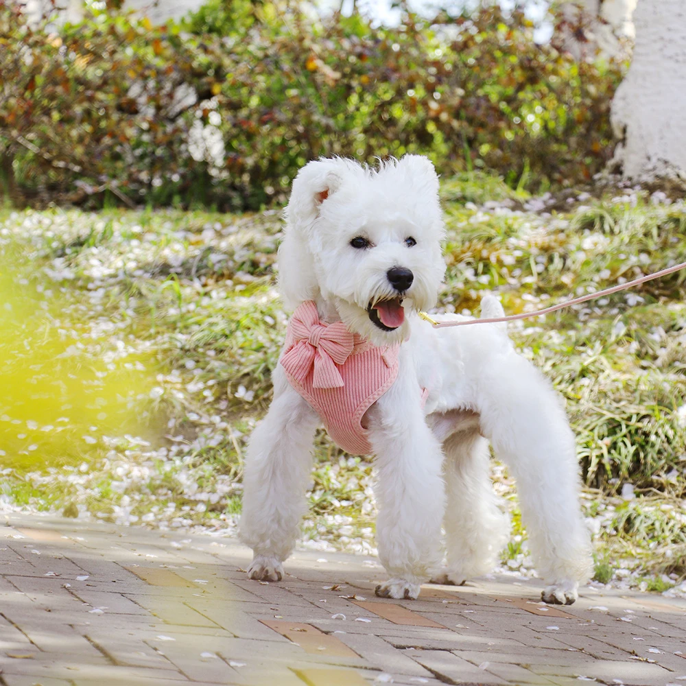 Conjunto Peitoral e Guia para Cães de Veludo e Tela com Ajuste - Imagem 5