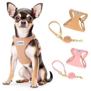 conjunto peitoral e coleira para cães pequenos