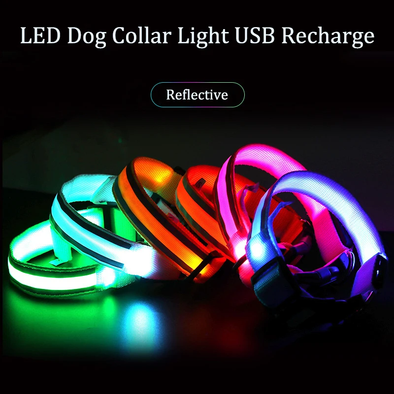 coleira de led para cães e gatos recarregável