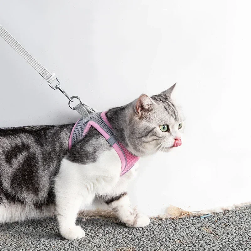 Coleira Peitoral com Guia para Gatos e Cães Pequenos Rosa Refletiva - Imagem 3