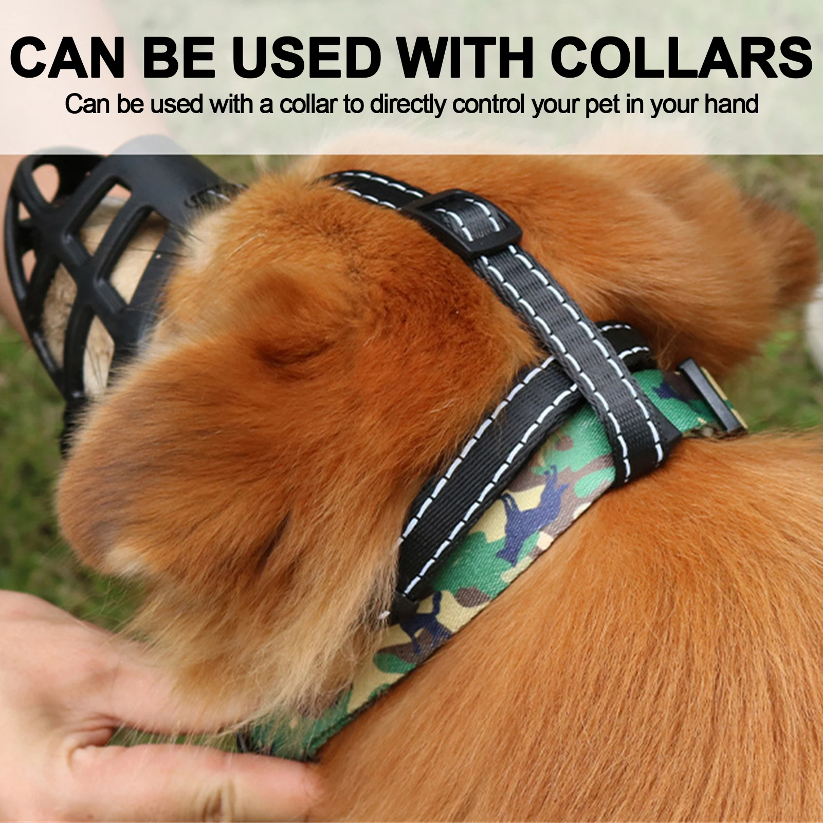 Focinheira de Plástico Macio para Cães com Design Respirável - Image 5