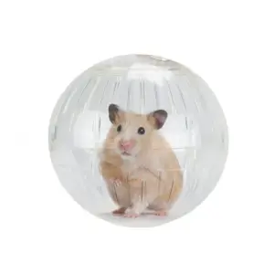 bola de exercício para hamster transparente