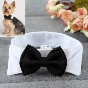 gravata borboleta para cães e gatos