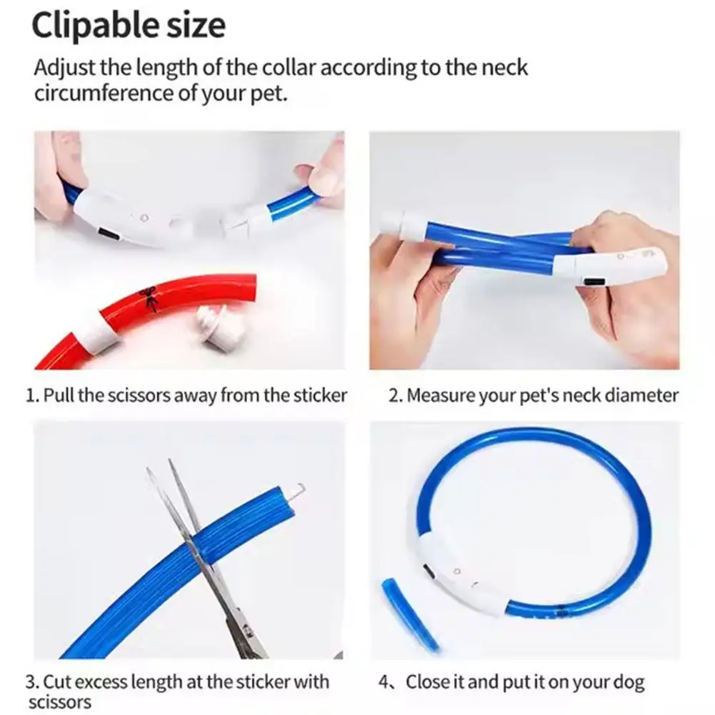 Coleira LED para Cães Recarregável USB Ajustável e Visível - Image 5