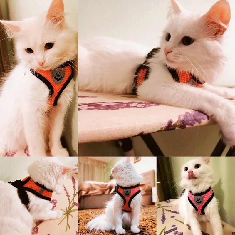 Coleira Peitoral para Gatos de Poliéster Ajustável Tamanho L - Imagem 2