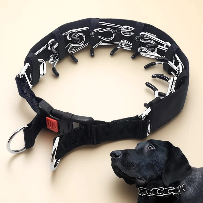 coleira de treinamento para cães ajustável