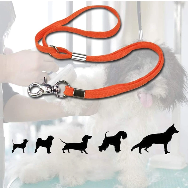 Corda de Tosa para Gatos com Clipe de Trava Ajustável - Image 2