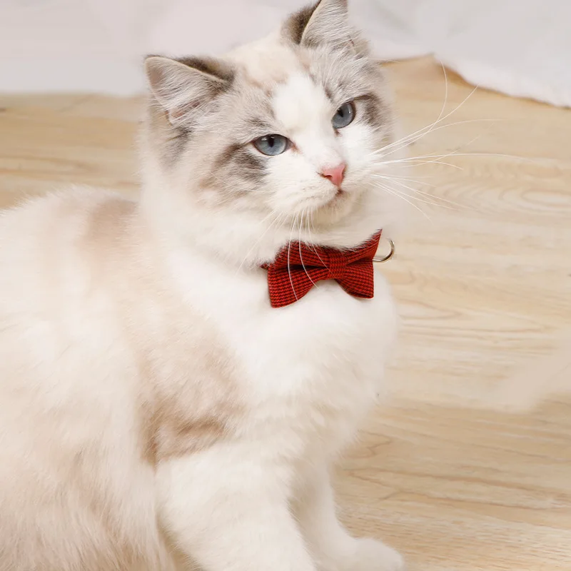 Coleira para Gatos e Cães Pequenos de Poliéster Ajustável 19-32 cm - Imagem 3