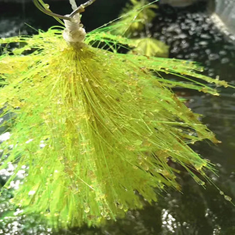 Grama de Incubação para Peixes de 60 cm com Cerdas Macias - Imagem 5