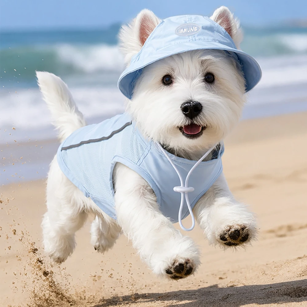 Colete de Verão para Cães e Gatos de Malha Respirável com Boné - Image 6