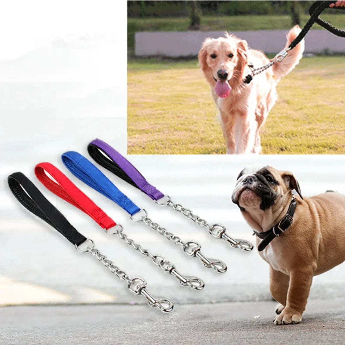 trela para cães anti-mastigação