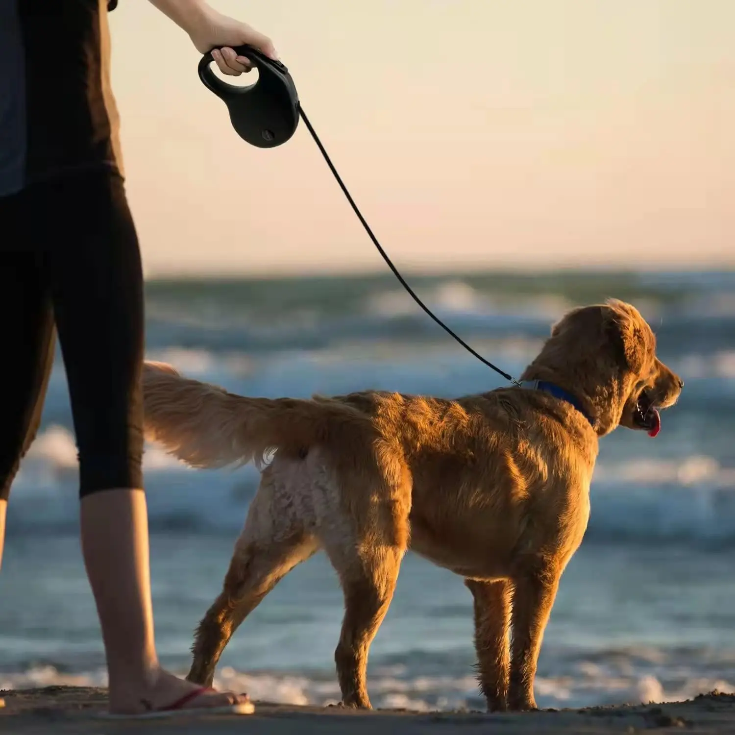 Coleira Retrátil para Cães até 50 kg com Guia de 5 ou 8 Metros - Imagem 6