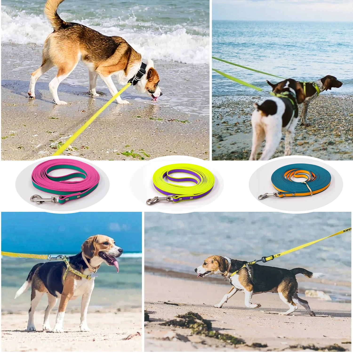 Coleira para Cães Pequenos e Médios de PVC Bicolor à Prova d'Água - Imagem 2