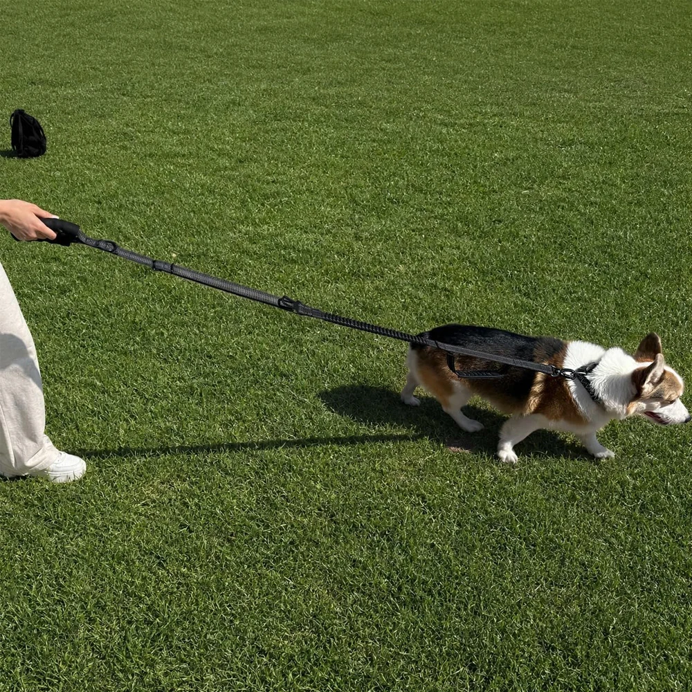 Coleira Tática para Cães Grandes com Bungee e Alça Dupla Acolchoada - Image 6