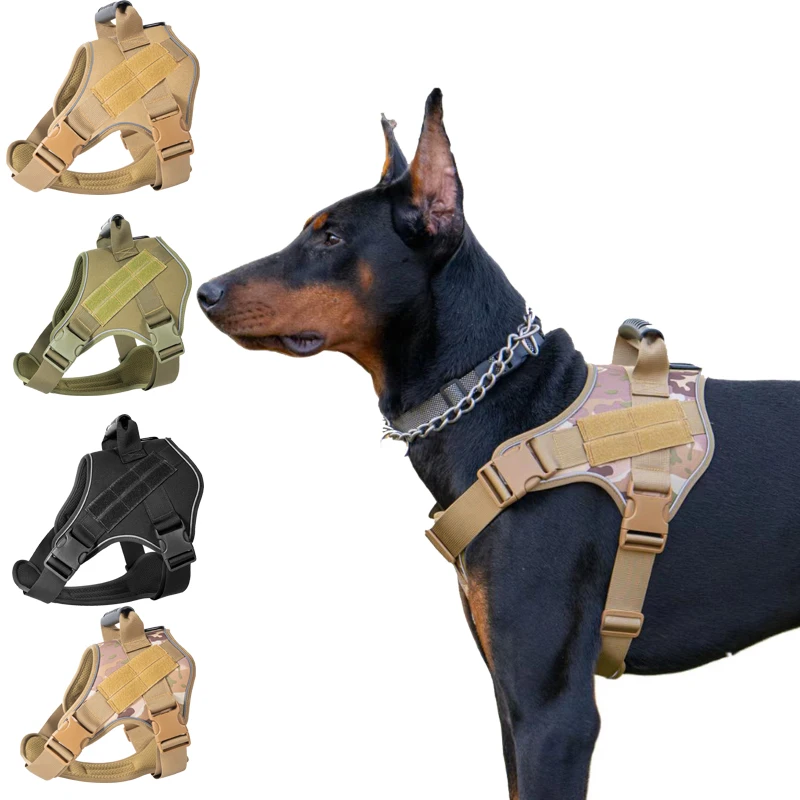 colete tático para cães